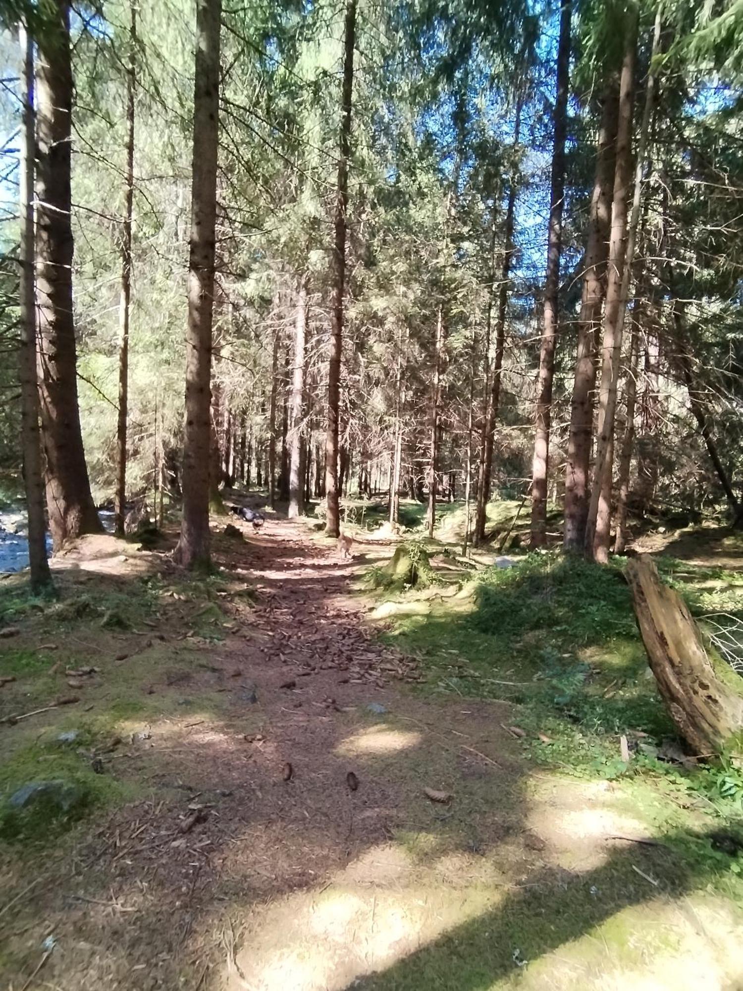 Penzion Real Žiar エクステリア 写真