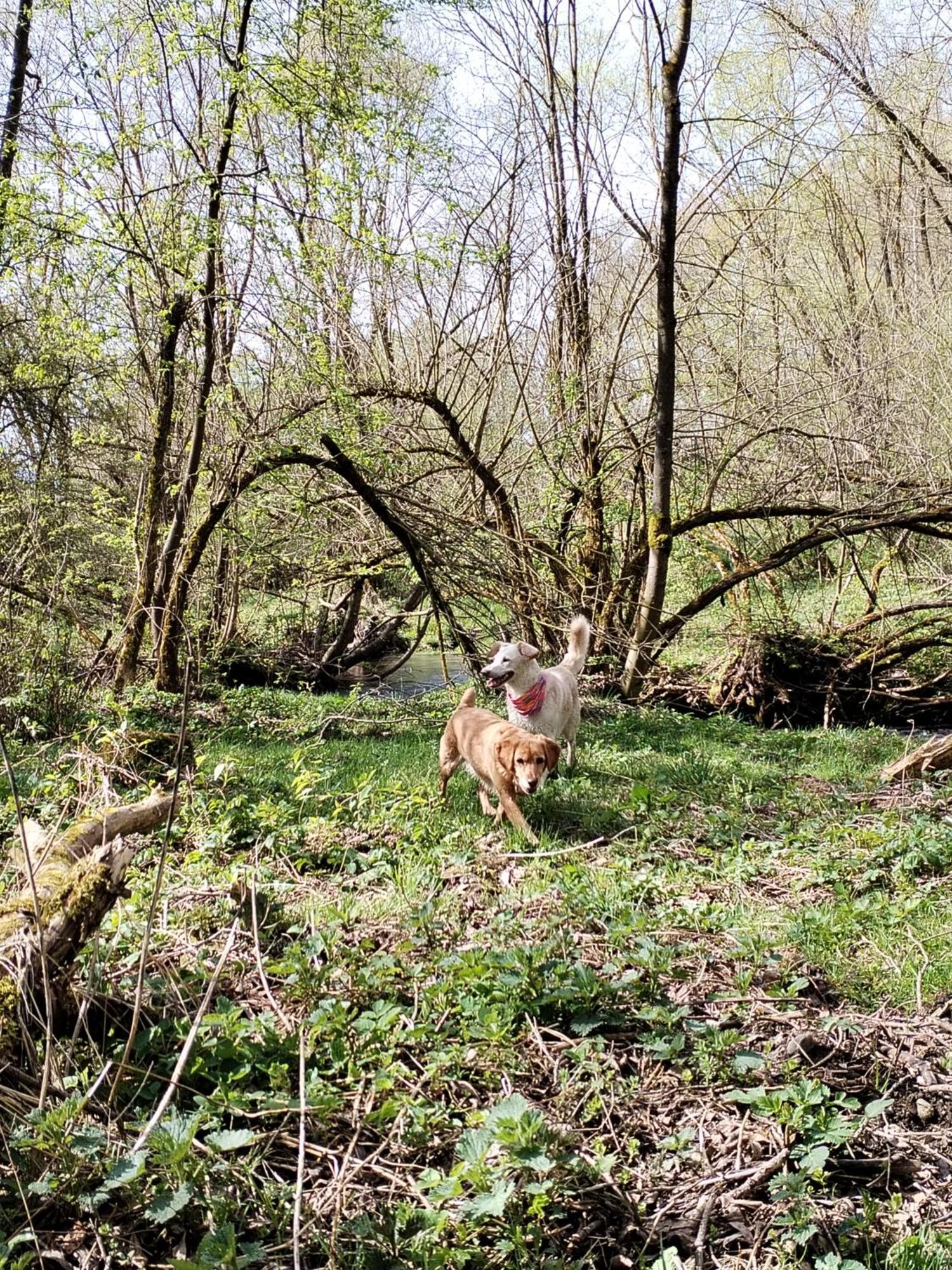 Penzion Real Žiar エクステリア 写真